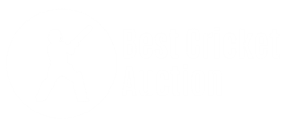 Best Cricket Auction Logo